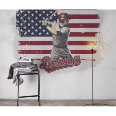 MURAL BASEBALL GREY