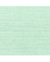 Papel Pintado T5020-aqua-shang extra fine sisal - THIBAUT