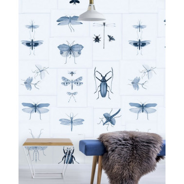 ENTOMOLOGY Blue WP20235