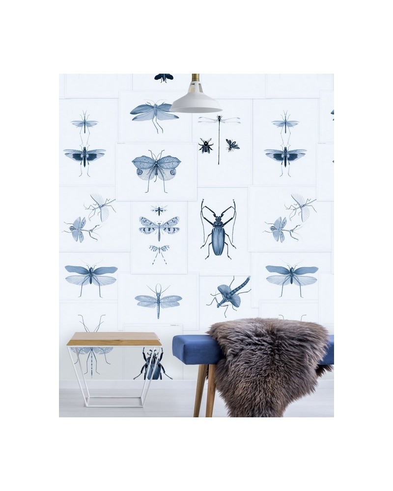 Papel Pintado ENTOMOLOGY Blue WP20235 - MIND THE GAP