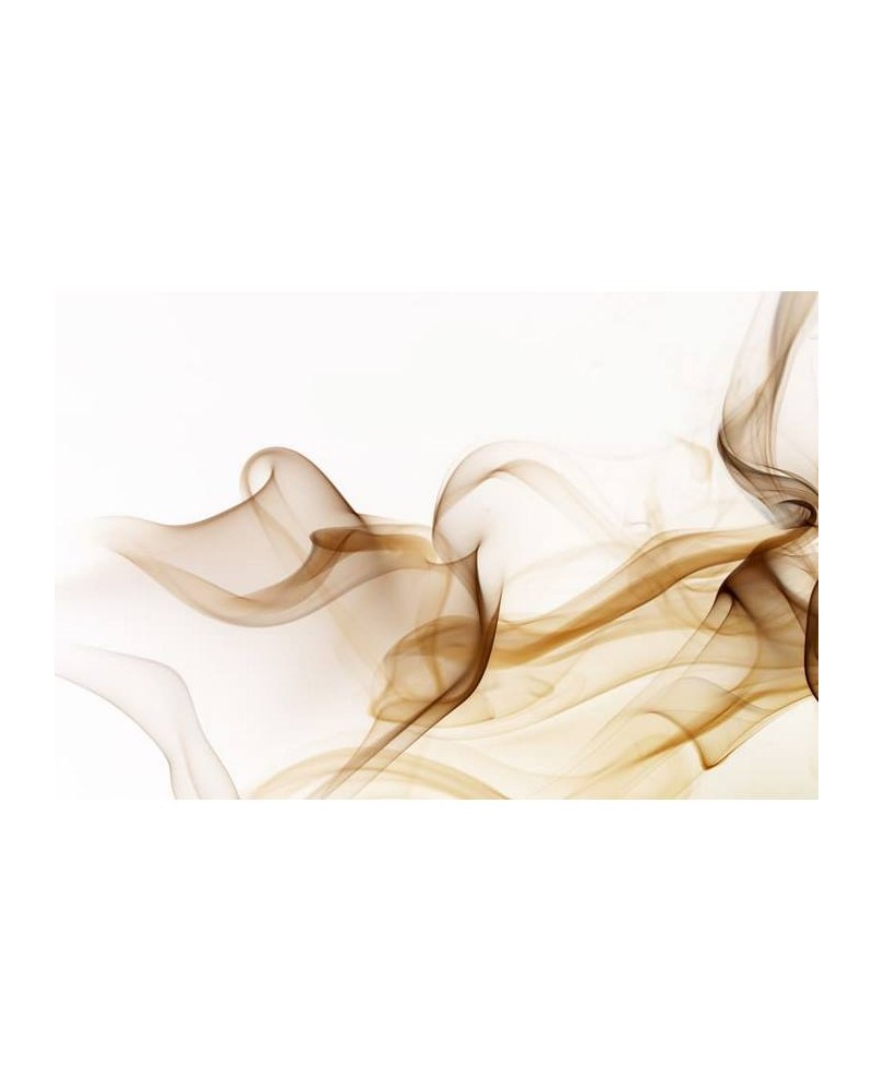 Papel Pintado R11891 Smoke - REBEL WALLS