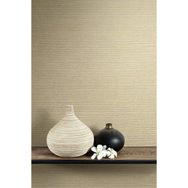 BW41001 SISAL