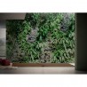 Papel Pintado GARDEN GLPI21B - GLAMORA