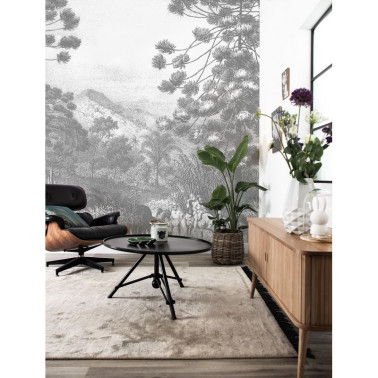 WP-618 Wall Mural Engraved...