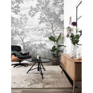 WP-634 Wall Mural Engraved...