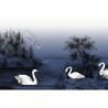 Papel Pintado R16222 Swan Lake, Nightfall - REBEL WALLS