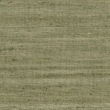 Lignes Olive 40505A