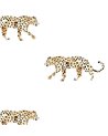 LEOPARD WALLPAPER - LEOPARD