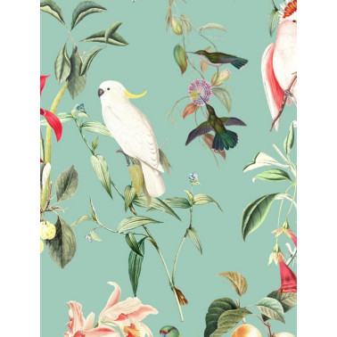 WALLPAPER - BIRDS OF...