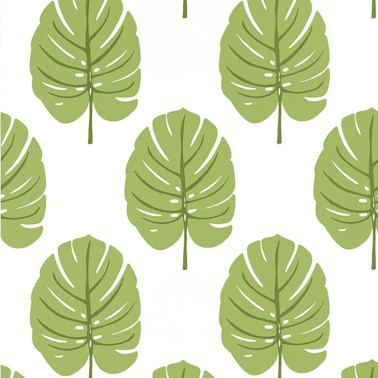 Monstera Apple Green T13955