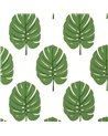 Monstera Green T13952