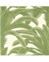 Queen Palm Sage T13911