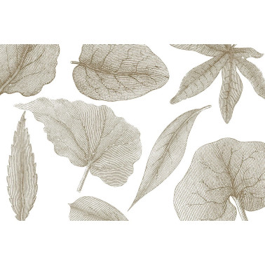 GIANT-LEAVES-VE062-2