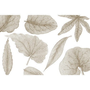 GIANT-LEAVES-VE062-2