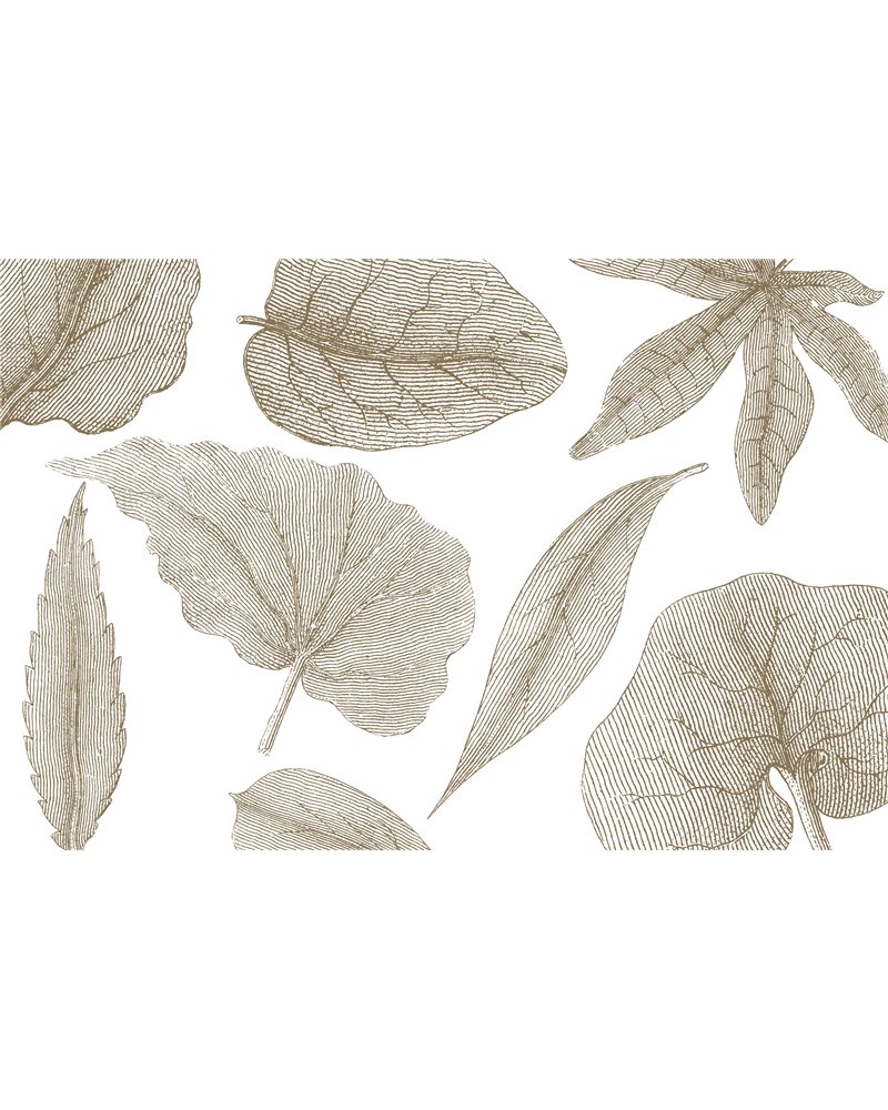 GIANT-LEAVES-VE062-2