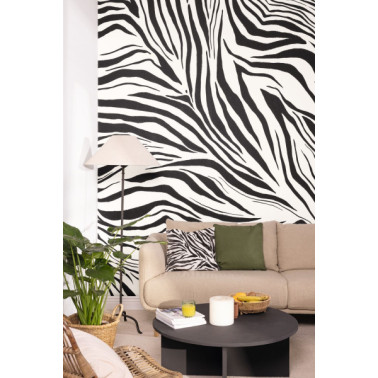 Zebra Blanc Noir L 104960904