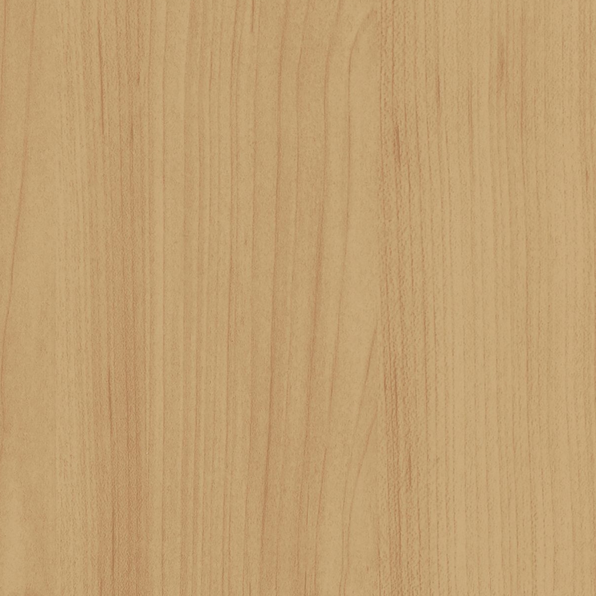 B3 Natural Maple