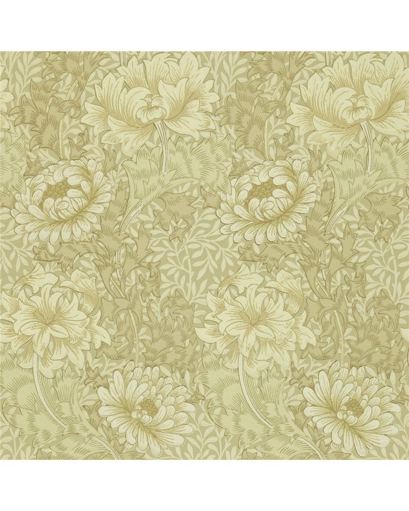 Chrysanthemum Ivory Canvas DJA1CY103