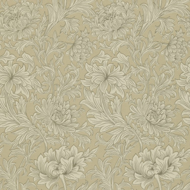 Chrysanthemum Ivory Gold DMOWCH103