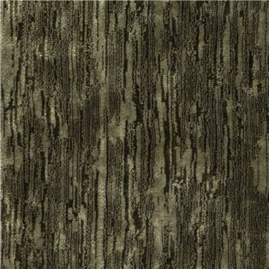 Icaria Birch DICA232918