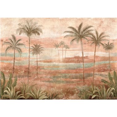 Draa Palms Rose B00453