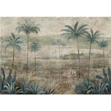 Draa Palms Sage B00454