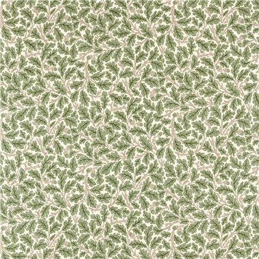 Oak Sage Green MAMB227121