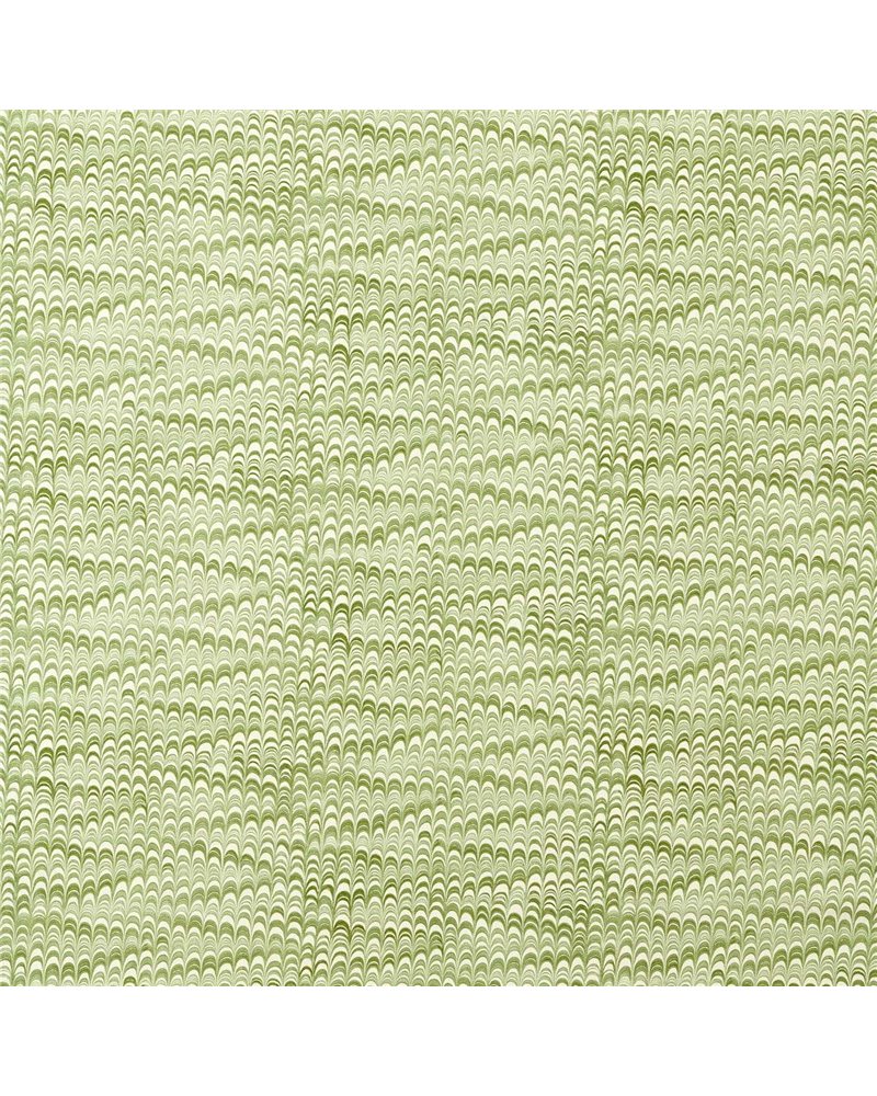 Washi Matcha HHHD121262