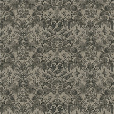 Coccinella Bella Jacquard – Black & Ivory MO5002