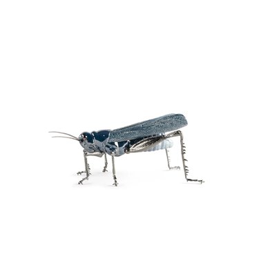 Saltamontes