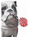 Figura perro Bulldog con piruleta