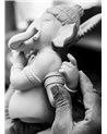 Figura Ganesha con bansuri. Serie limitada