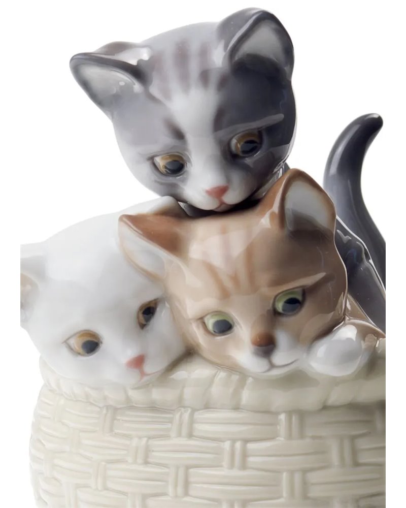 Figura Gatitos curiosos