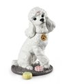 Figura perro Caniche con mochis