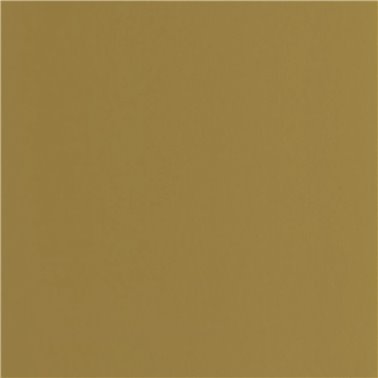 Pigments Olive 200337474