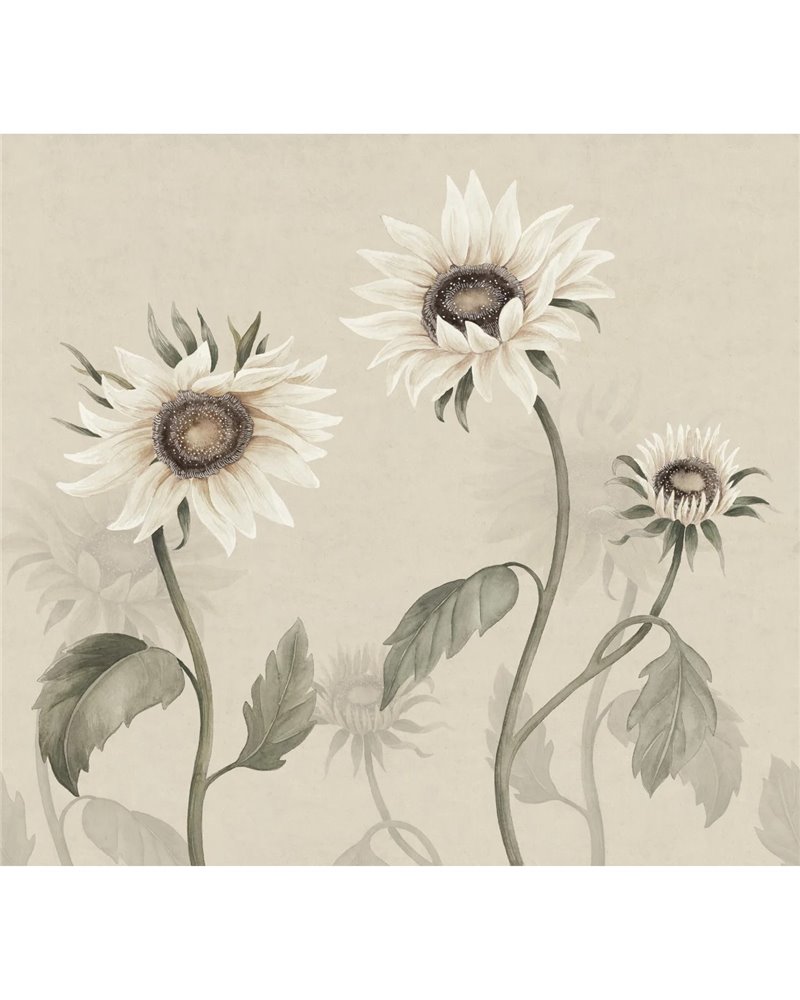 Sunflowers White S10529